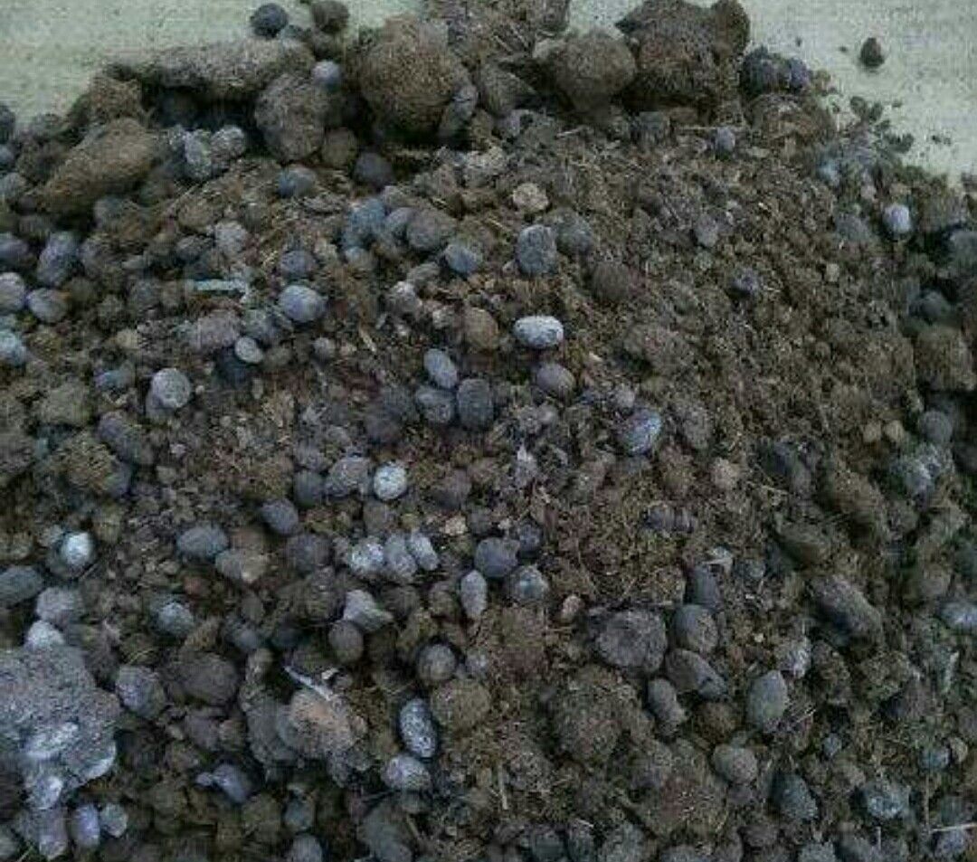 农村这种动物粪,肥效持久,防止盆土结板,最适合用来养花