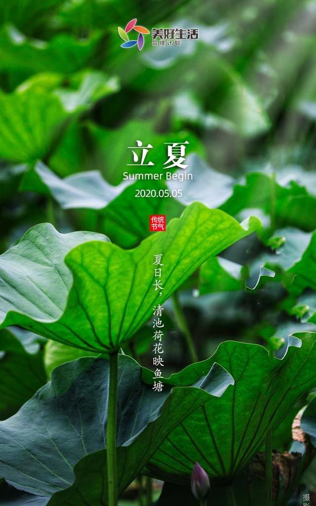 物业企业2020立夏海报大赏