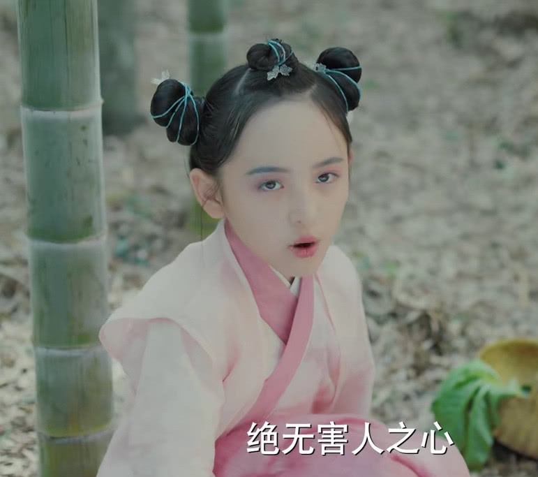 清平乐中徽柔的扮演者有望成为下一个蒋依依杨幂