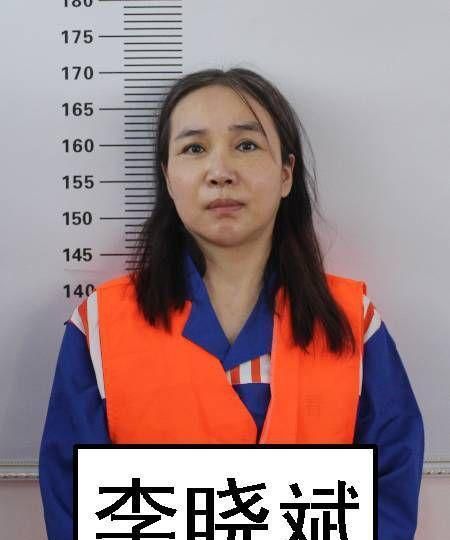 该黑社会性质组织主要成员有易连峰,李晓斌(女),易连涛,杨晓光(杨晓宏