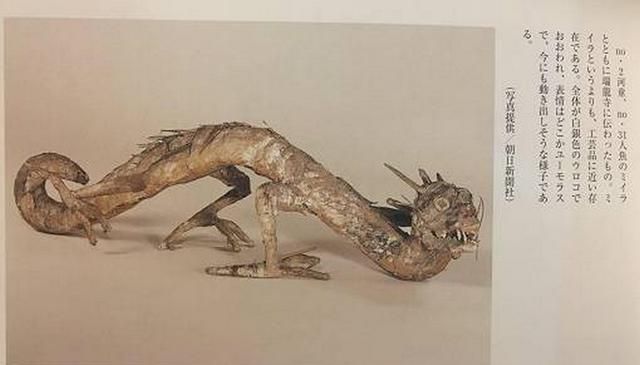 日本寺庙供奉的"真龙标本"长什么样子,不敢鉴定,有什么猫腻