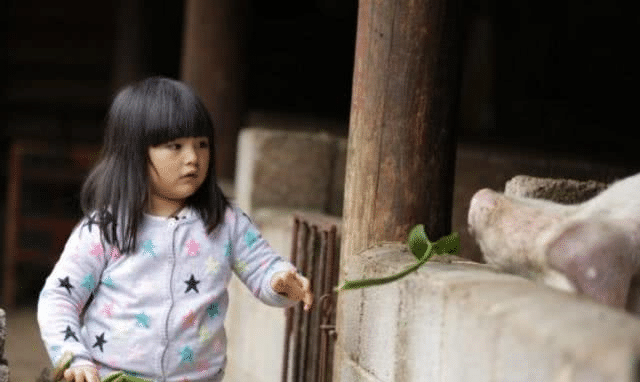 富养的王诗龄穷养的森碟7年后差距一目了然