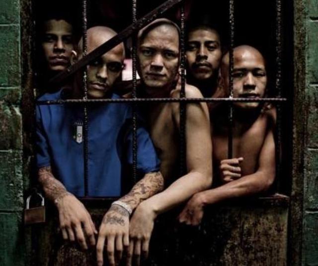 总人口仅有600万黑帮就占了100万它比墨西哥还恐怖