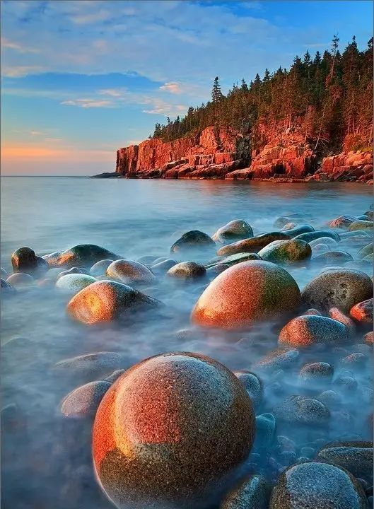 多么神奇的大自然,太神奇了!