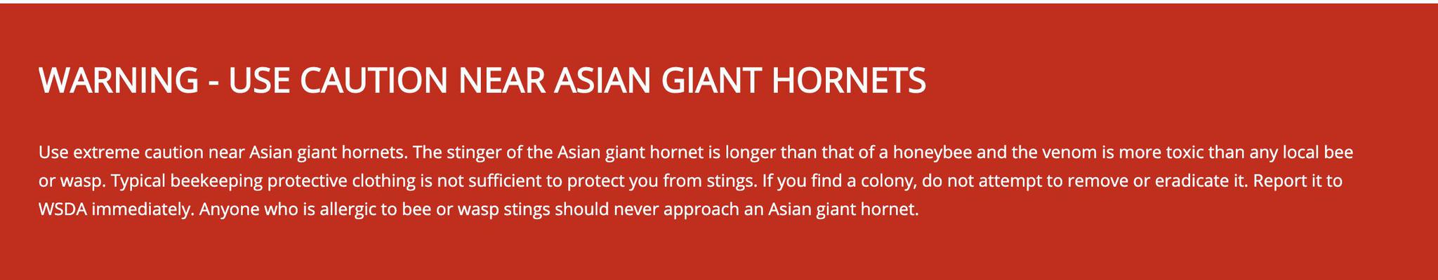 是世界五大毒蜂之一,每年杀死许多人