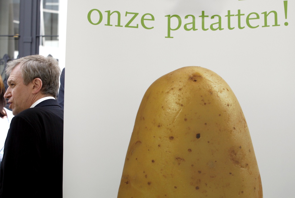 疫情期间比利时薯条滞销,75万吨土豆恐烂在仓库里!