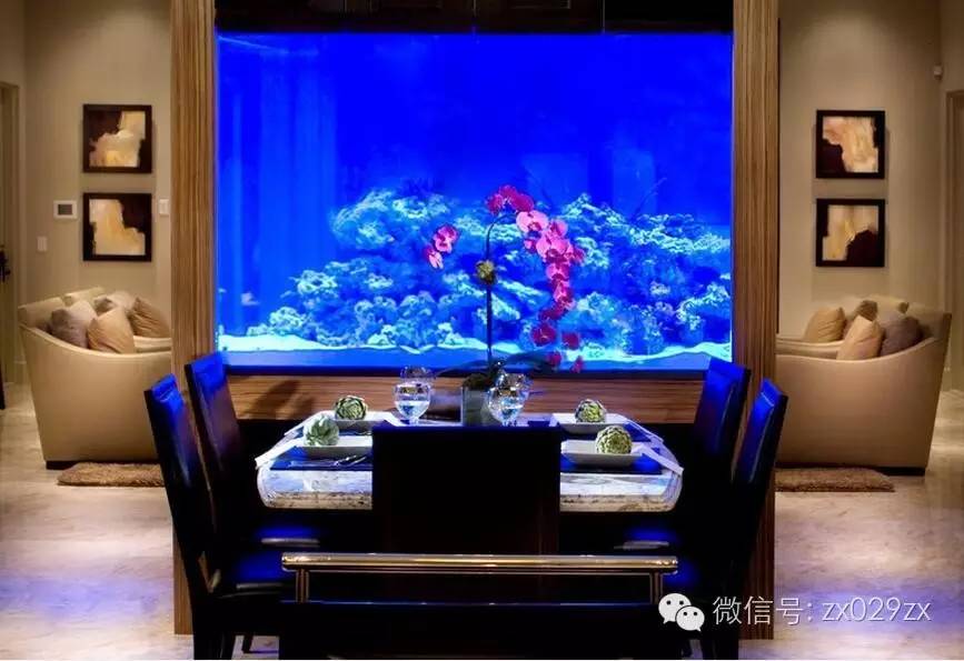 只要你喜欢,客厅的空白墙都可以设置鱼缸水族▲大户型厨房也是可以