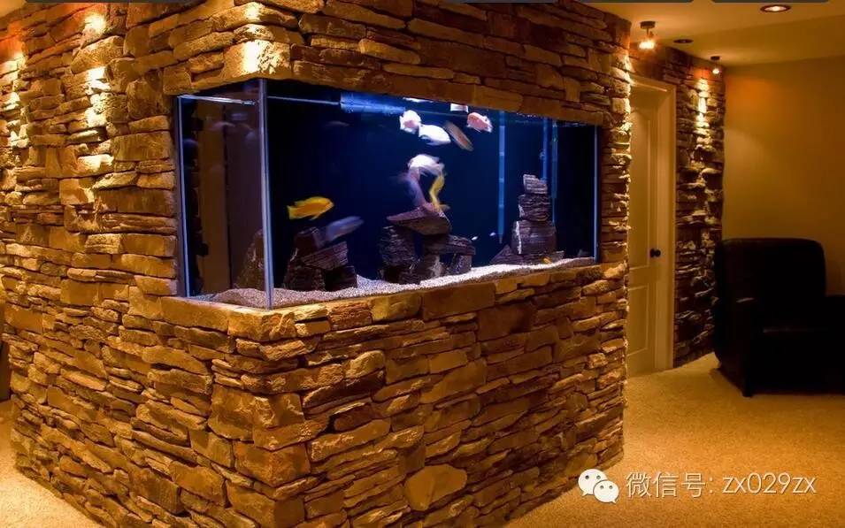 家里任意空白墙面都可以放上水族鱼缸装饰▲电视背景墙装点水族箱