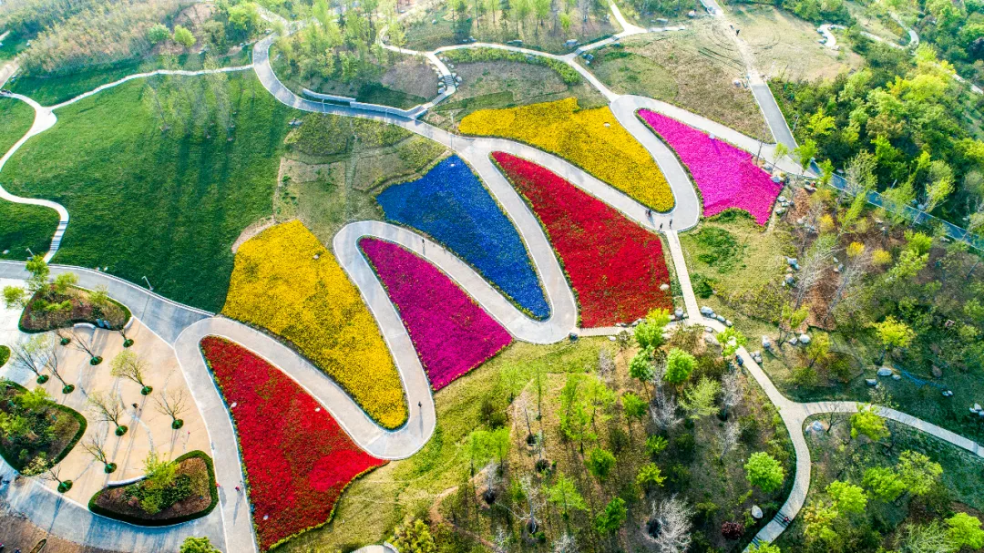 西安新增一"网红"景点,各色立体s形花海,距市区1小时