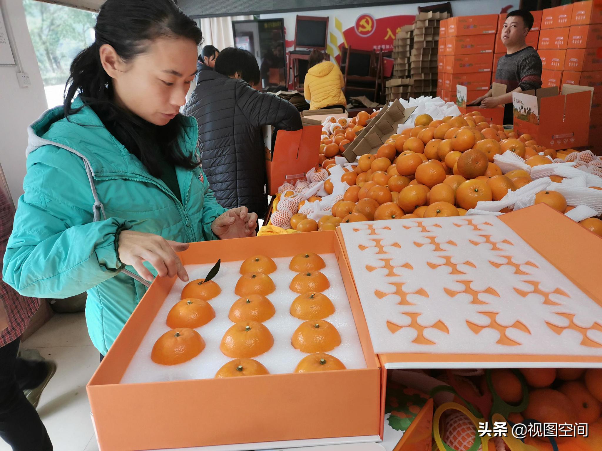 桂林农村电商发展故事:直播带货红火,人才是主要瓶颈