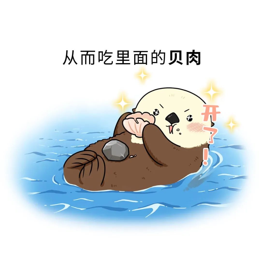 海獭差点灭绝主要是发量惊人