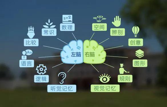 左右利手形成有原因,无需刻意训练|左撇子|右脑|左手_新浪新闻