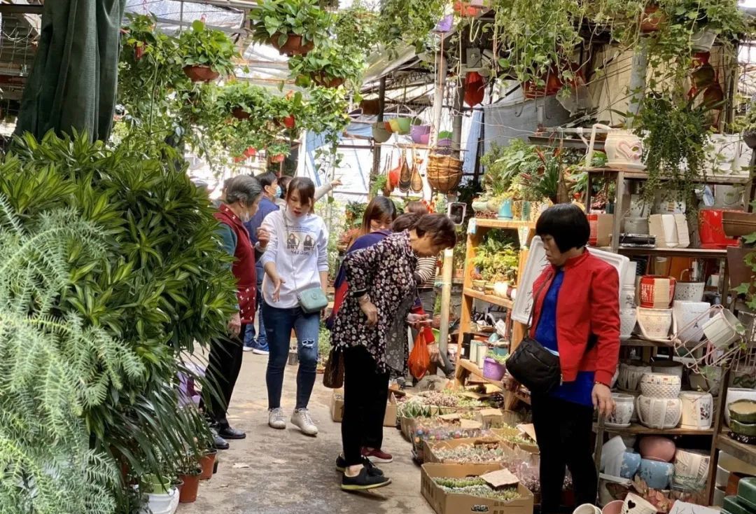 汕头人民广场清拆临时花木市场,提升城市环境品质