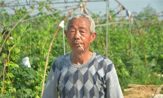 蔬菜田里养蚯蚓,农村大叔的"不靠谱"种植方式,在村里引热议