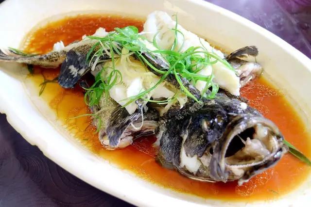 清蒸龙胆斑 刚从池塘中捞出的活鱼充满了胶质,清蒸很好地保留了鱼的