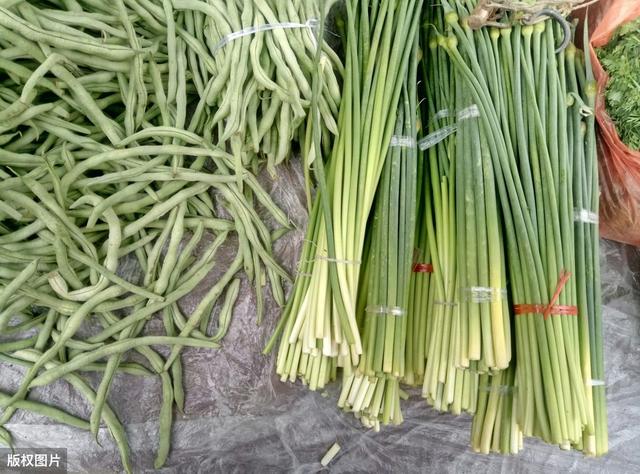 同样是蒜苔,红头和绿头到底有什么区别?菜农告诉你答案