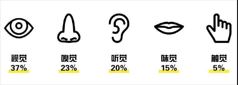 “五感”品牌营销：你的品牌如何被消费者所识别__财经头条