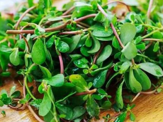 是人都怕癌,癌却怕"它"平时别舍不得,癌细胞见你或"绕着走"