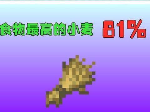 我的世界 宝箱开物品几率你了解吗 最小几率的物品仅有1 6