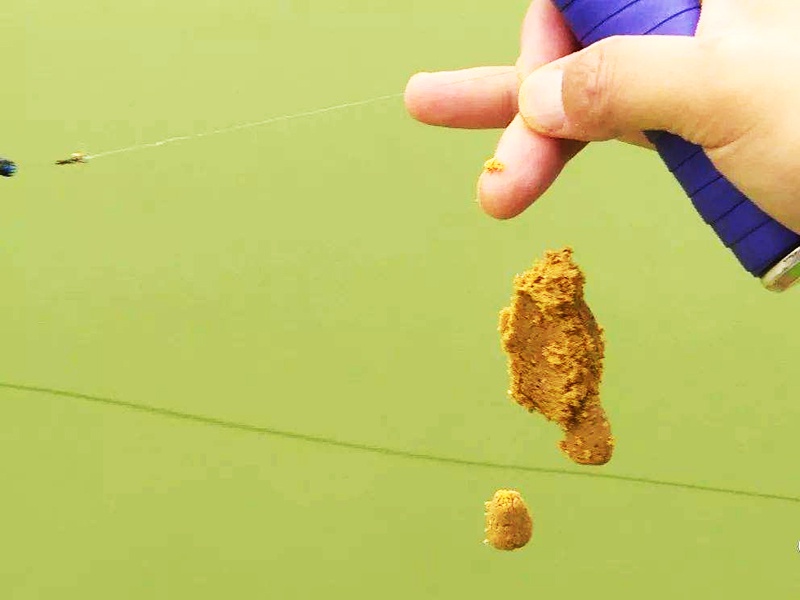 搓饵钓鱼没问题,不注意这些细节,钓鱼效果就会很差