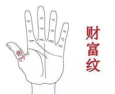 人无横财不富马无夜草不肥从你的手相看看你财运好不好