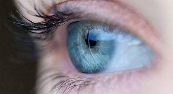 蛇原来是高度近视眼度数高达1000只能看清1米范围的物体