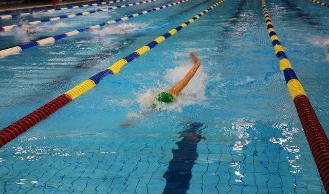 全方位解析直臂自由泳的技术及重点|自由泳|手臂|旋转_新浪新闻