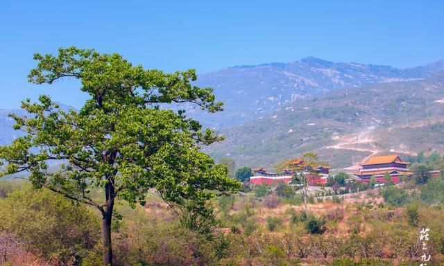 平山王母村图片