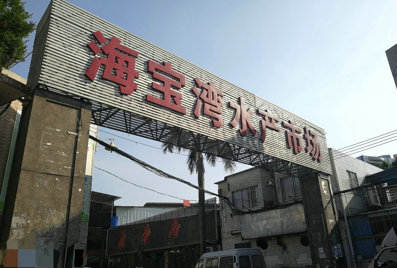 广州最抵吃海鲜市场随处见1元1只生蚝新鲜肥美