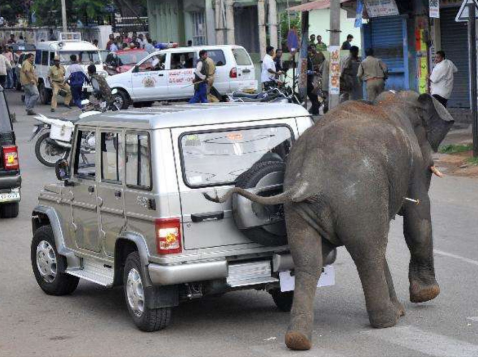 OMG！0辆！印度车市的4月能用何词形容？