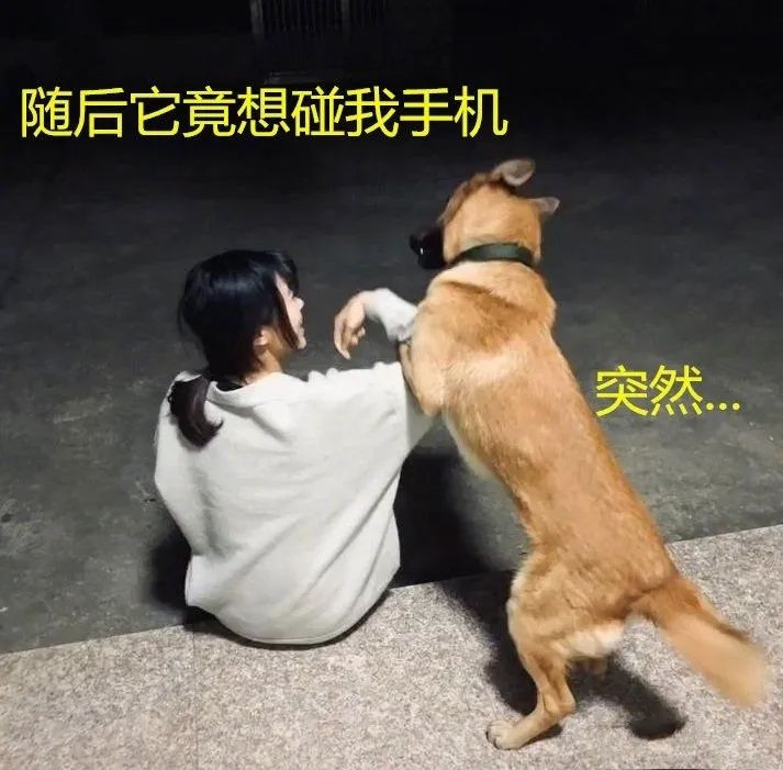个礼物(图片来自@爆笑gif图)都过上了幸福的单身生活敢跟女朋友这么玩