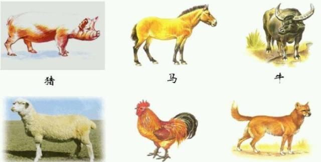 兴旺读音是什么意思 兴旺的正确读音是什么