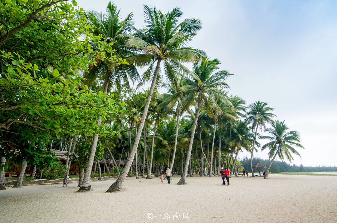 海南有一座最美的小镇,到处都是椰子树