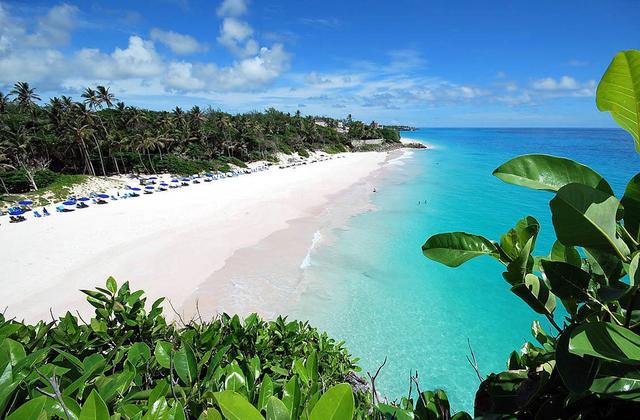 阳光富翁巴巴多斯加勒比海岛屿国家风光秀丽的热带旅游岛