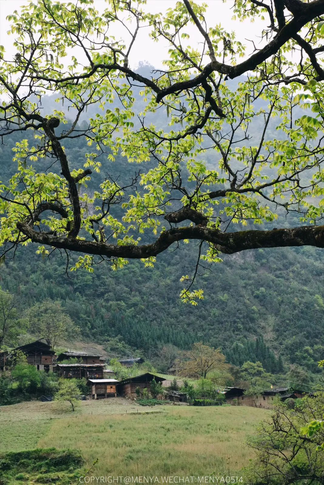 图@门牙图@田田曾经进村的路,,只有一人一马可以通过,是真正的茶马