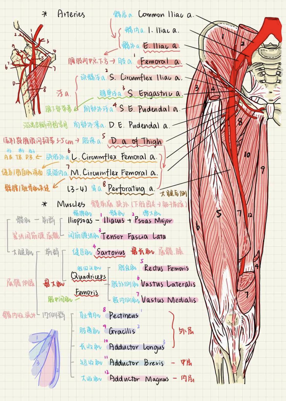 ipad数字笔记完全指南