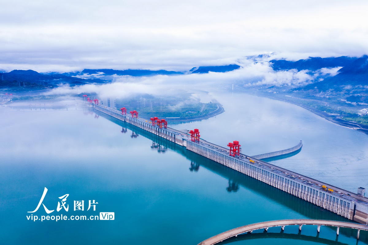 三峡水库最大鱼类 20年蓄水鱼能长多大