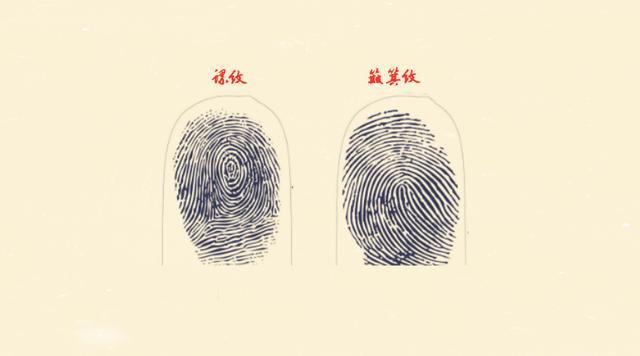 "两螺赚钱多,无螺聚宝盆",手指有几个螺几个簸箕命最好?__财经头条
