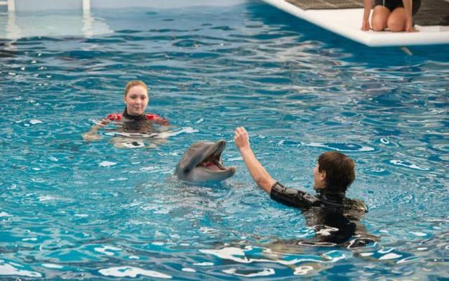 "自古就有海豚救人",为什么海豚会救人?今天告诉你真相