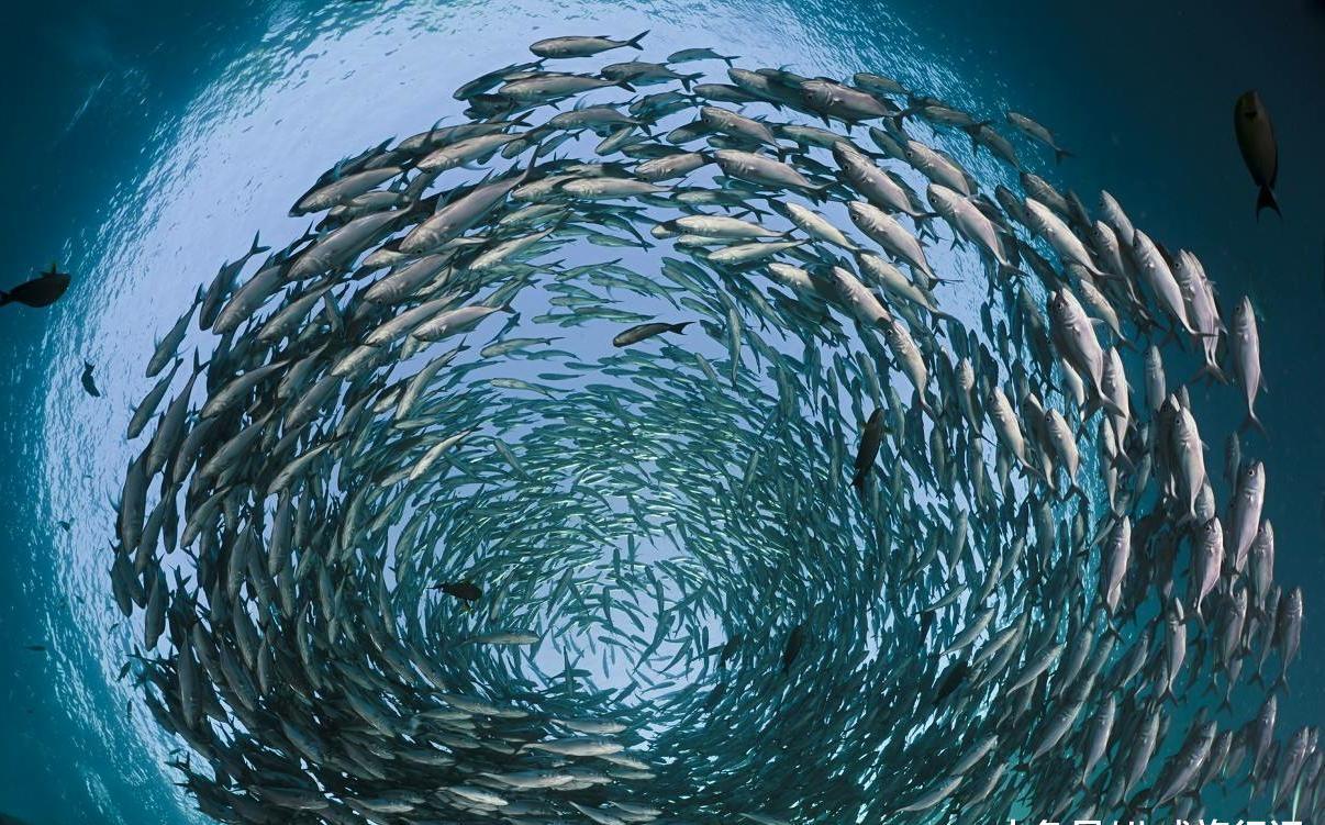 世界未解之谜: 地球上真有无底洞 每天30000吨水去向何处