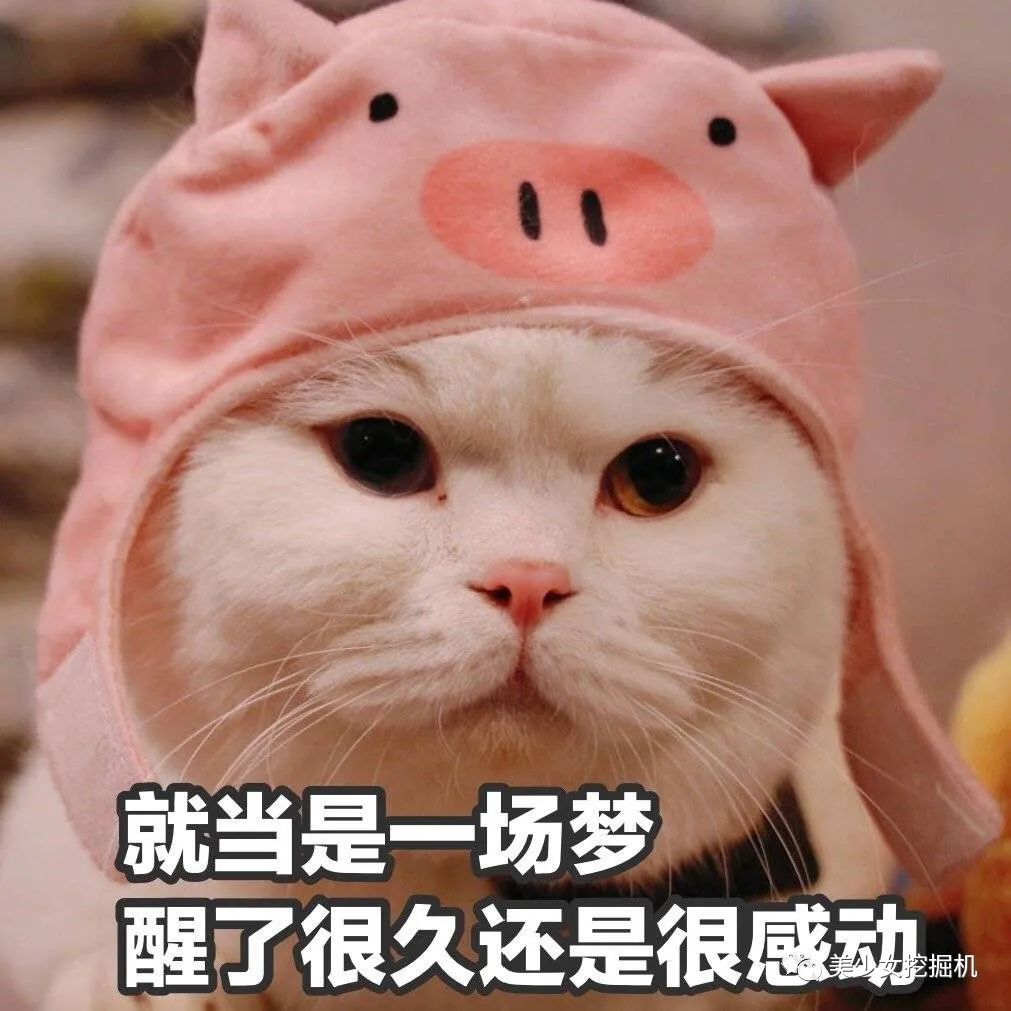 这可能不是个选秀节目,是个白日梦节目.