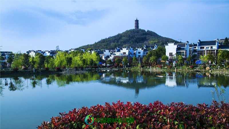 国际慢城桠溪镇!一县一品,南京高淳特色农产品固城湖螃蟹