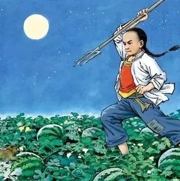 鲁迅笔下的猹,现身了!|猪獾_新浪新闻