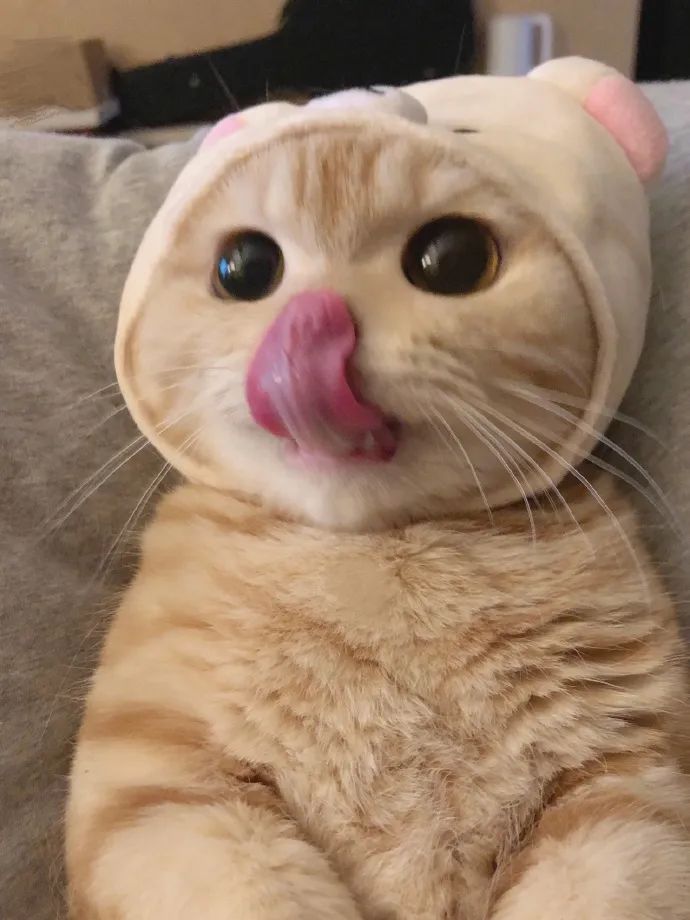 丰个唇都丰成柚子型的网红是什么奇葩审美