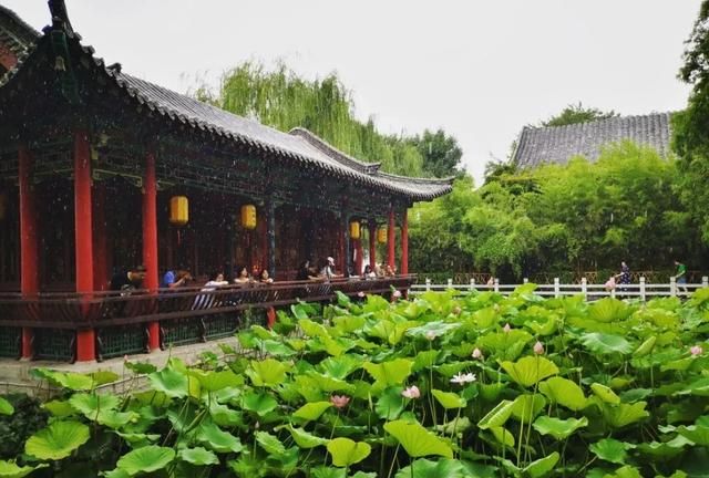 最新发布！中国宜居城市前100名排行榜公布，榜首在山东
