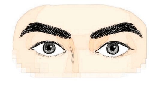 龙眉所谓的龙眉就是指,眉头圆厚,整体向上弯曲,眉尾聚拢微常与眼睛.