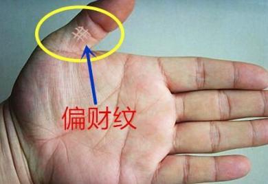 拇指第一节与第二节之间有着网状纹或纹状错中复杂的纹路,称为偏财纹.