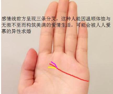 注定前半生坎坷,中年后才会时来运转的几种手相|手相|感情线|月丘
