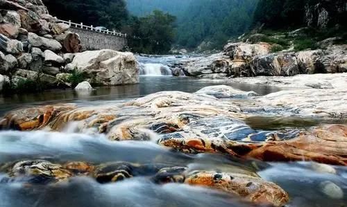 最新发布！中国宜居城市前100名排行榜公布，榜首在山东
