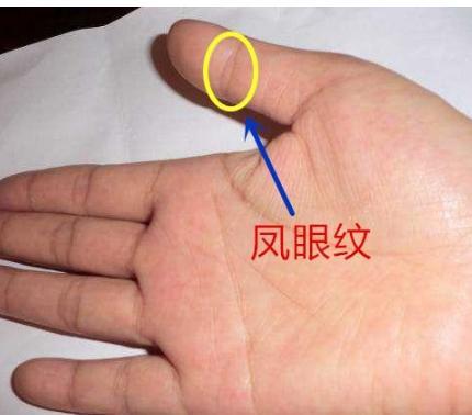 手相中井字纹寓意吉祥,可事业有成,财运亨通